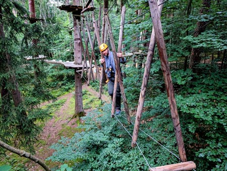 Das Team von PROXORA meistert die Herausforderungen des Hochseilgartens und bewältigt den Parcours.